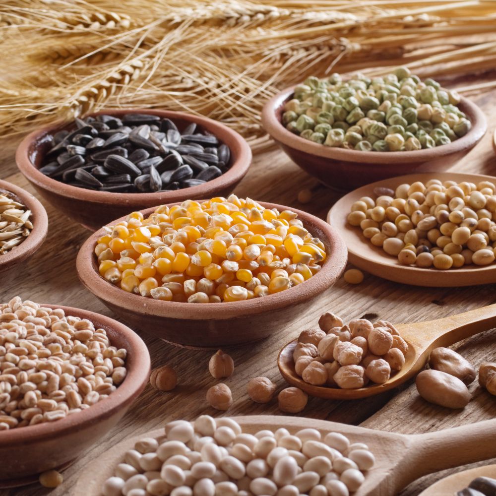 Grains, Cereals & Seeds